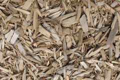 biomass boilers Chislet Forstal